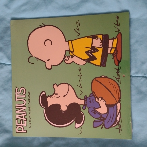 Peanuts Other - NWT Peanuts 2022 calender in plastic wrap